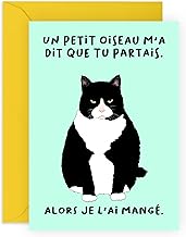 Central 23 Carte de départ Nouvelle travail pour femme - 'UN PETIT OISEAU M'A DIT QUE TU PARTAIS' - Carte d'adieu amusante pour homme - Motif chat - Cadeau humoristique pour ami, collègue