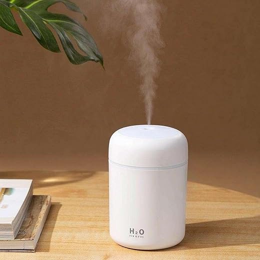 Portable Mini Oil Defuser Cool Mist Defuserfor Room Moisture