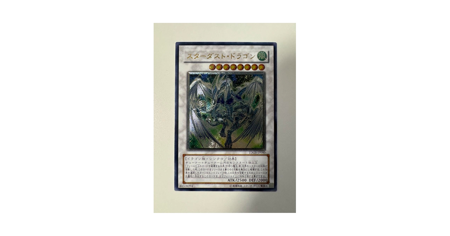 スターダストドラゴン TDGS レリーフ　TDGS告知冊子デュエルフィールド スターダストドラゴン TDGS レリーフ TDGS告知冊子デュエル