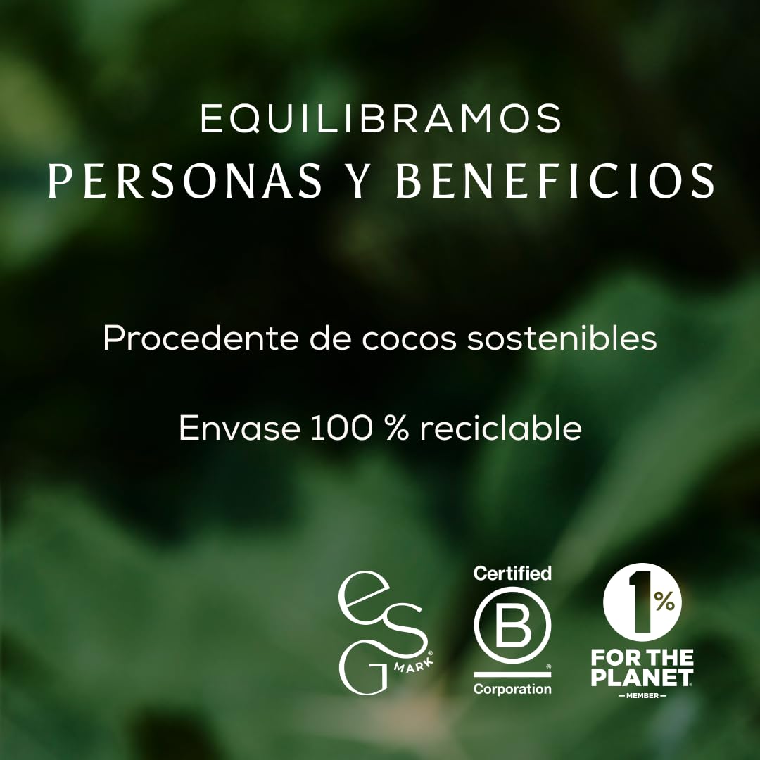 Ancient + Brave | Electrolitos en Polvo - 15 Sobres x 6g | Electrolitos sin Azucar con Minerales, Magnesio, Potasio y Cromo | Hidratación Matutina, Recuperación Post-Entrenamiento - Electrolytes 90g
