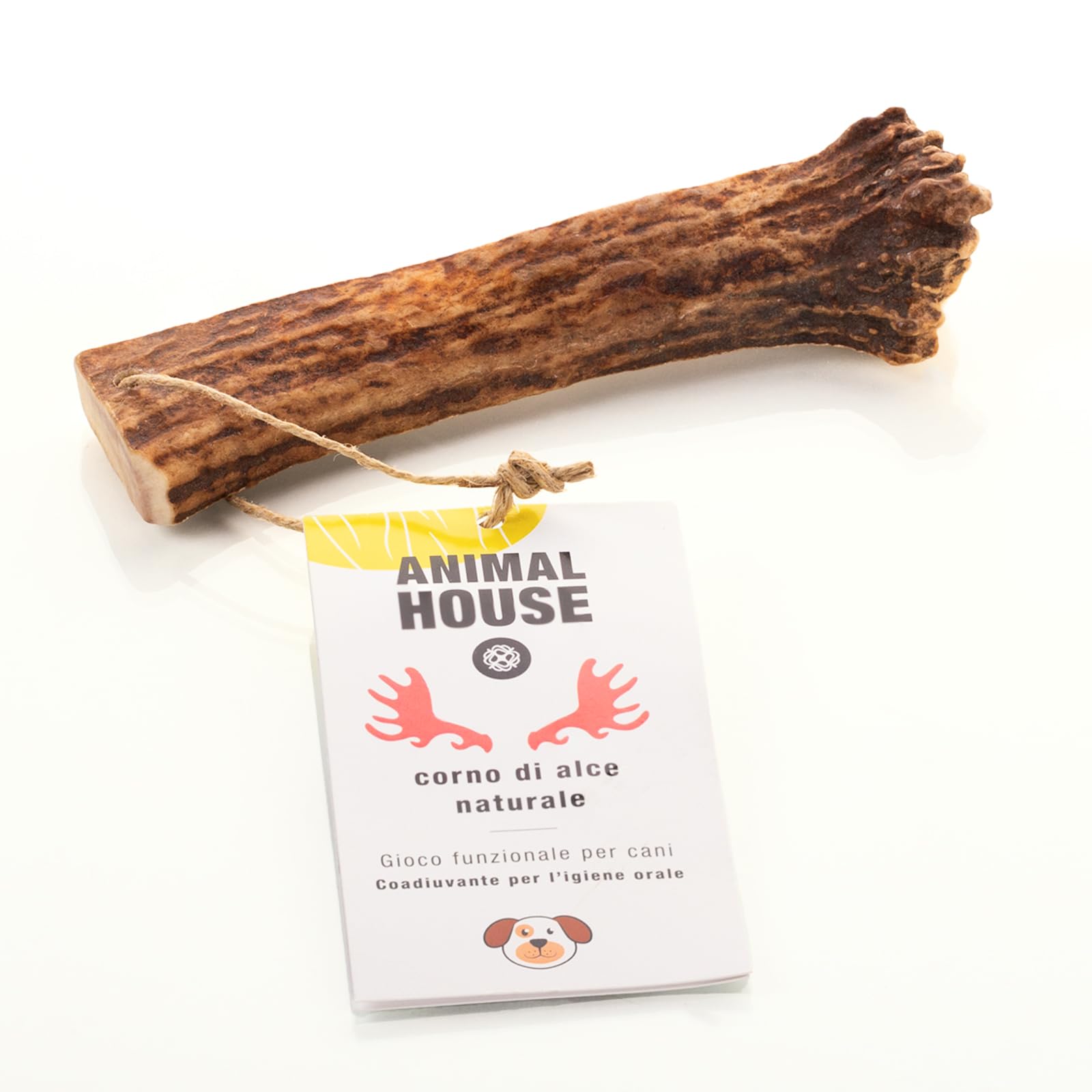 ANIMAL HOUSE - Elandgewei voor honden - 100% natuurlijk kauwmiddel - versterkt de mondhygiëne - robuust en duurzaam - verkrijgbaar in alle maten - wreedheidsvrij (M ANIMAL HOUSE - Elandgewei voor honden - 100% natuurlijk kauwmiddel - versterkt de mondhygiëne - robuust en duurzaam - verkrijgbaar in alle maten - wreedheidsvrij (M