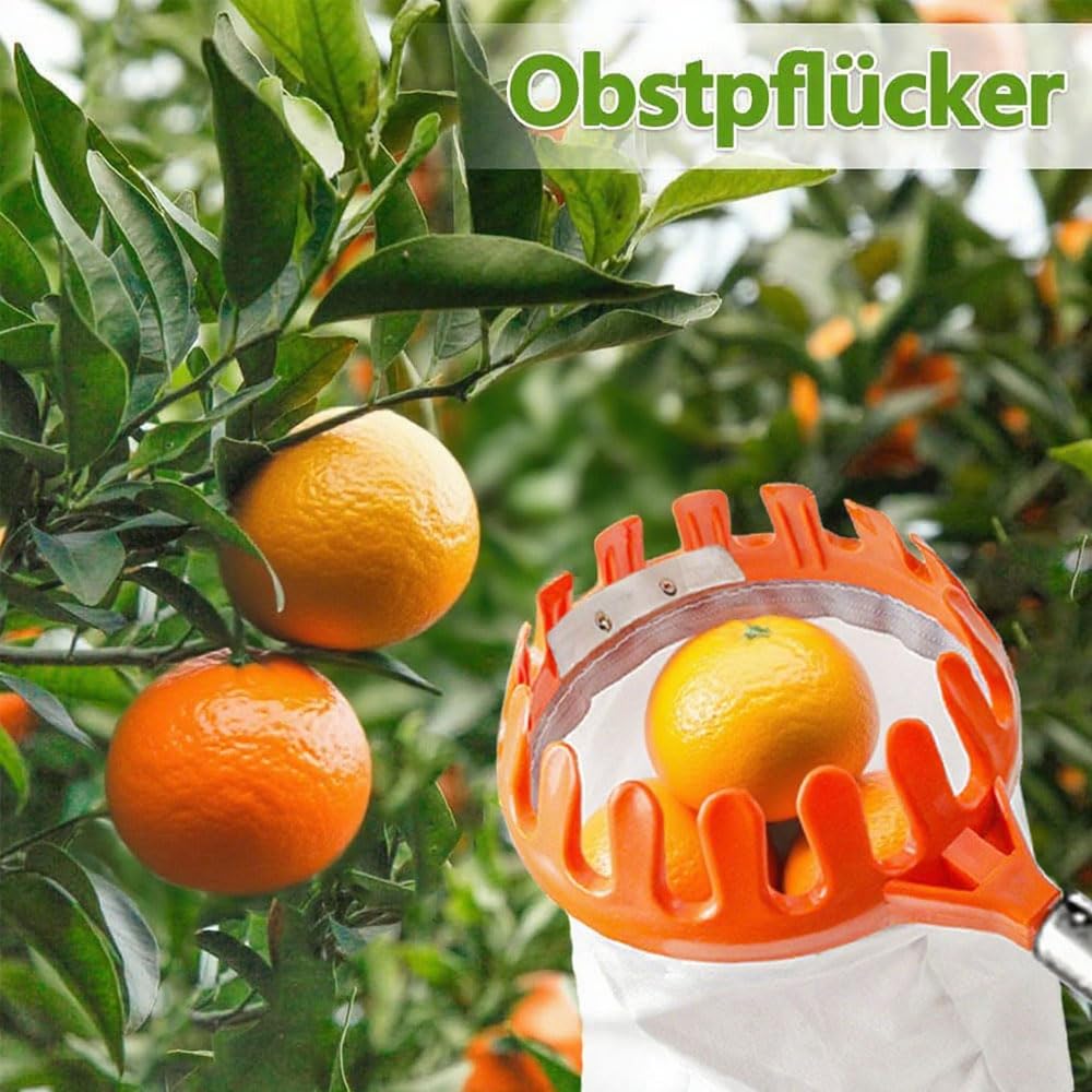 MANGLI 4,2 m raccogli frutta, raccogli mele, con manico telescopico, raccogli ciliegie in acciaio inox e sacchetto di cotone, raccogli frutta per ciliegie, pere, agrumi, pesche