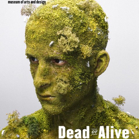 Dead or Alive