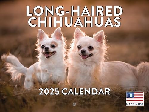 Vista 95 de Calendario Goldendoodle 2026 Golden Doodle mensual de pared calendario de 12 meses Fabricado en Estados Unidos