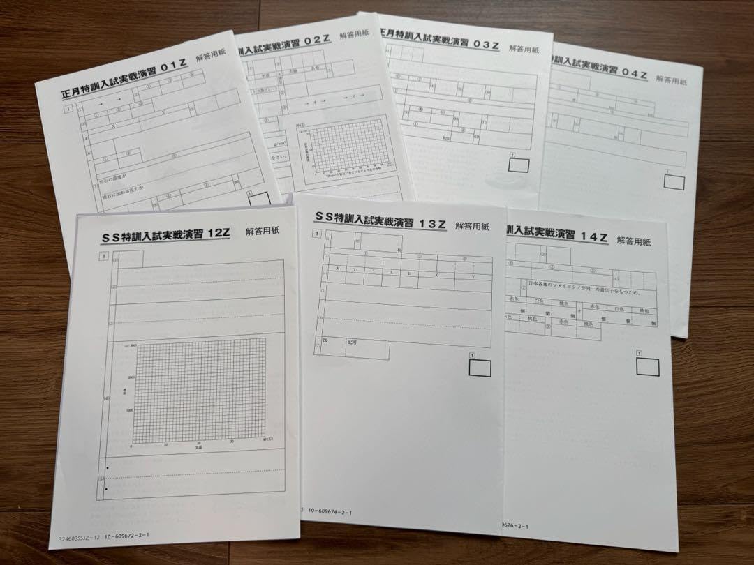 最新25年 中学受験 SAPIX6年 春夏冬季講習 GS SS 正月特訓 算数