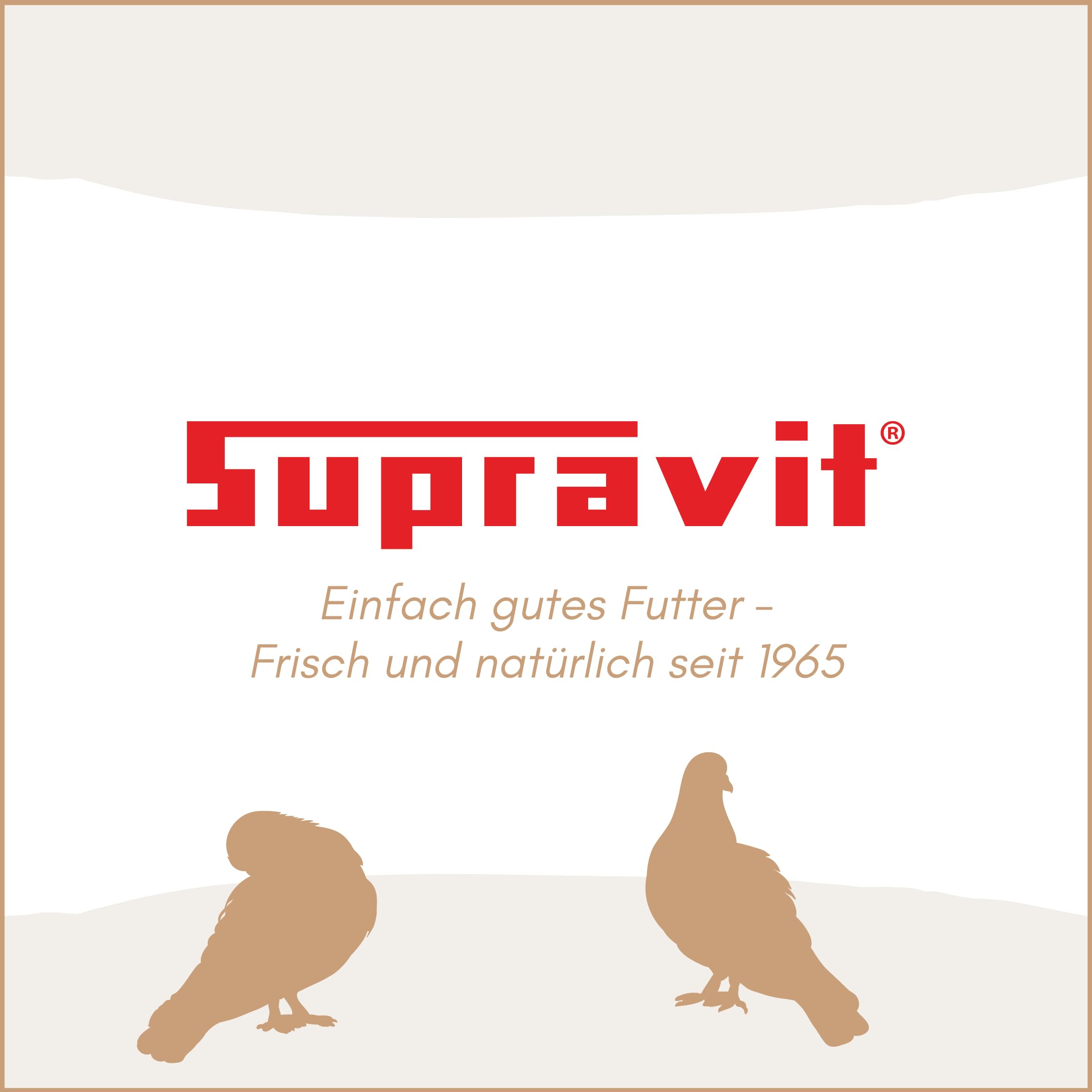 Supravit Super Diät Taubenfutter 25kg ohne Mais für Tauben während der Reisesaison | Futter für mehr Kondition | ausgewogene Körnermischung | Vogelfutter alle Tauben-Rassen