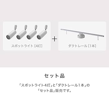 Amazon.co.jp : LOWYA ロウヤ スポットライト LED照明 ダクト