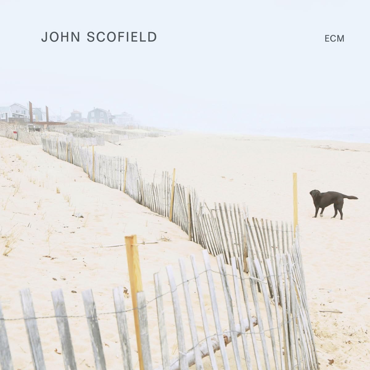 John Scofield [VINYL]