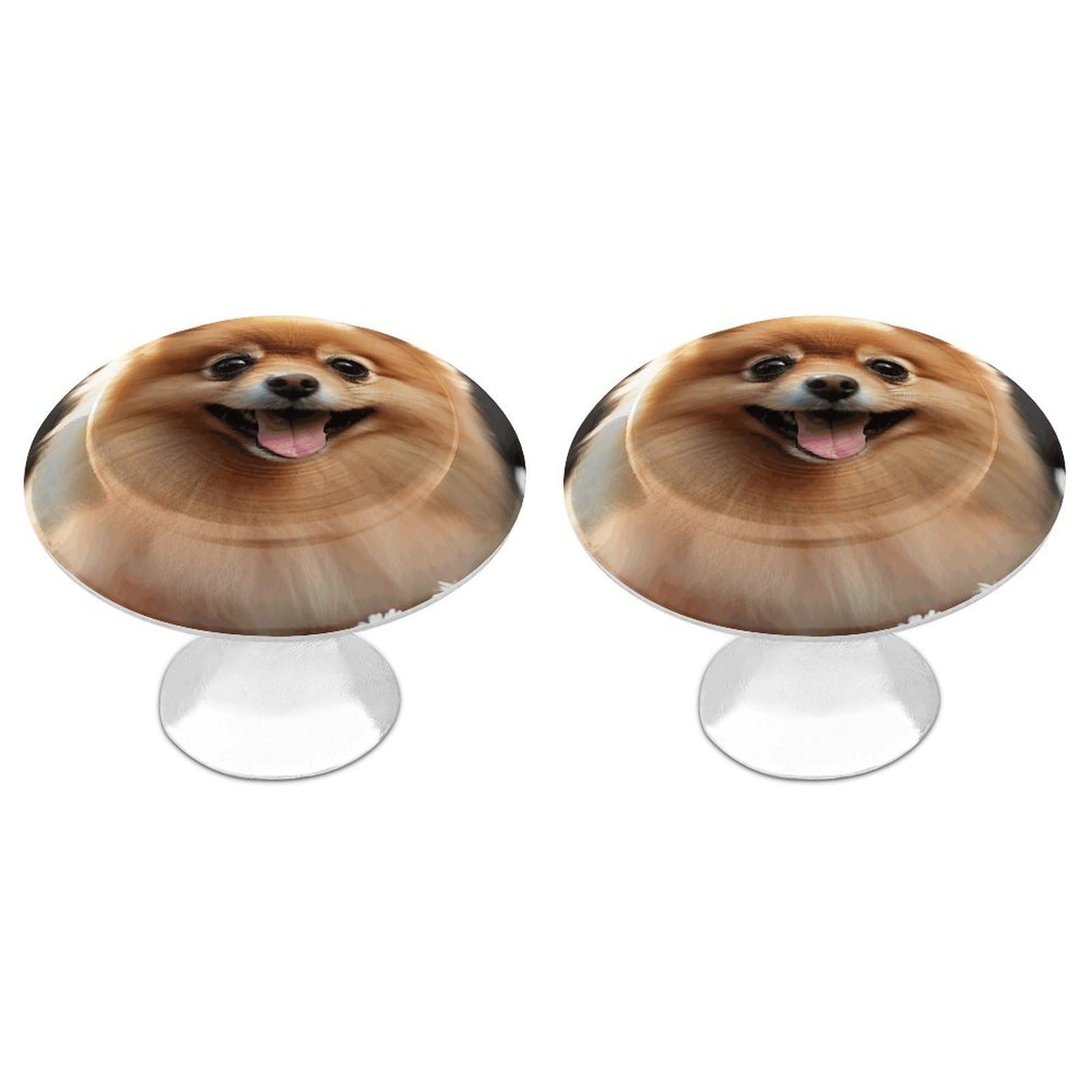 Vstadank Style Pomeranian Dog Drawer Pulls Sturdy Stainless Steel Door Handle Round Cabinet Knobs Fashion Dresser Drawer Knobs Door Pulls Exquisite Cabinet Handles Furniture Pull 2Pcs