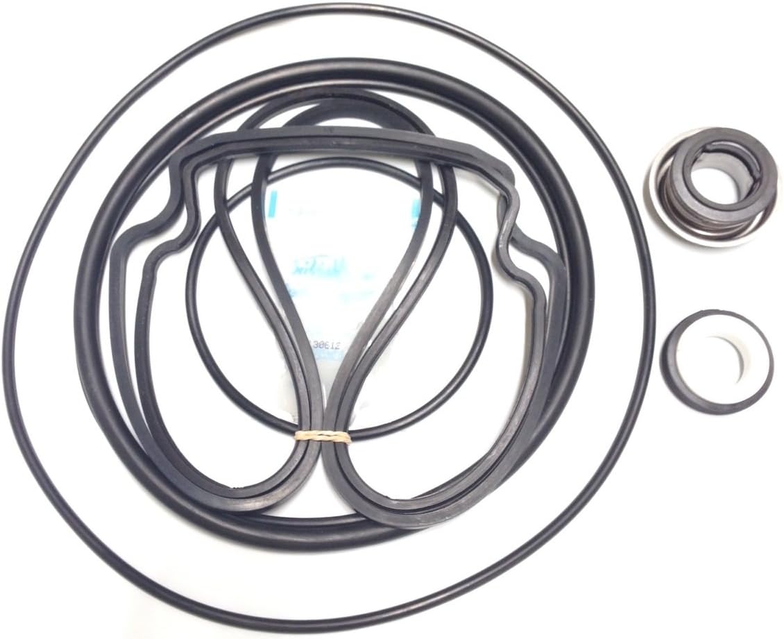 Pump Repair Seal Kit For Pentair WhisperFlo IntelliFlo Pump Kit 32