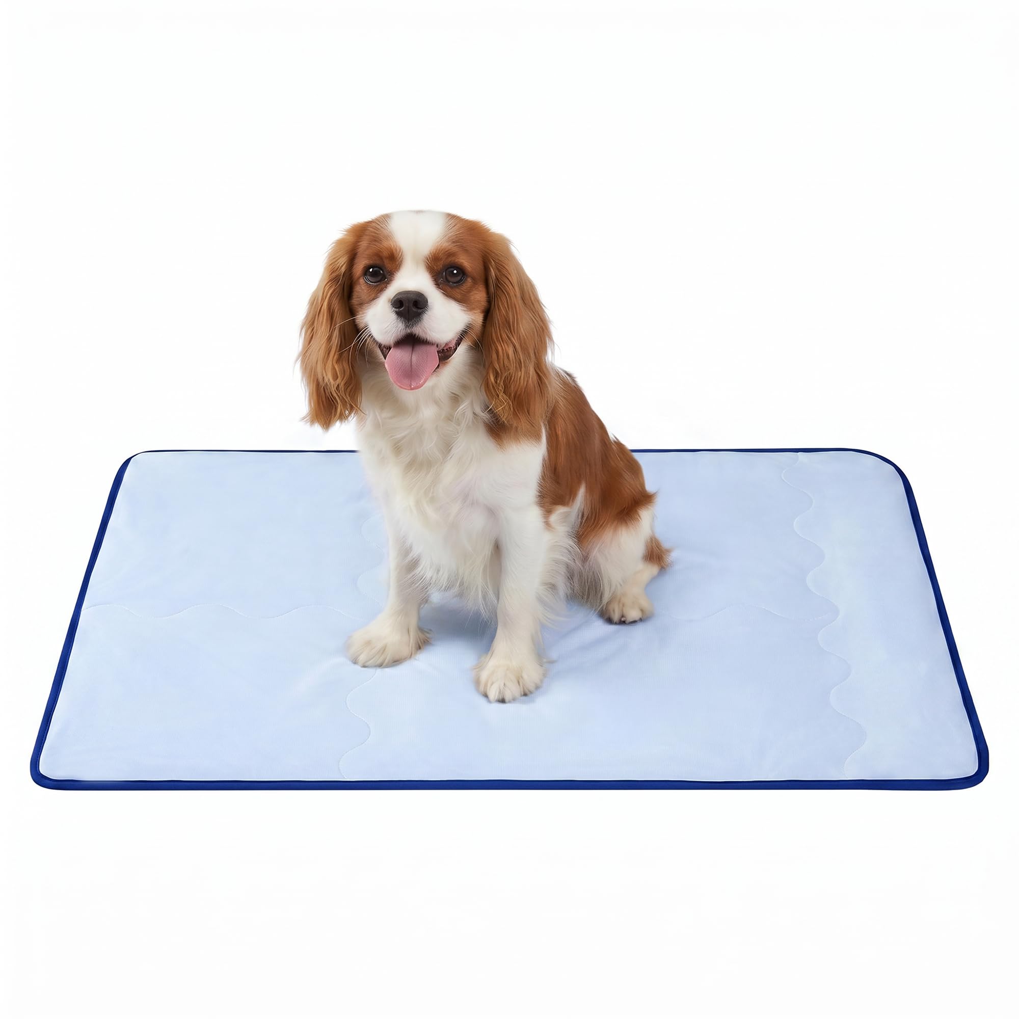 Deconovo Tappetino Rinfrescante per Cani e Gatti 102x74 cm, Tappeto Fresco Double Face con Tessuto Cooling e Morbida Spugna, Trapuntato e Lavabile, Materassino Estivo per Cuccia, Divano e Auto, Blu