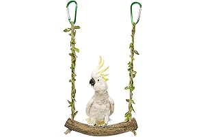 Bird Swing Stand with Parrot Swing