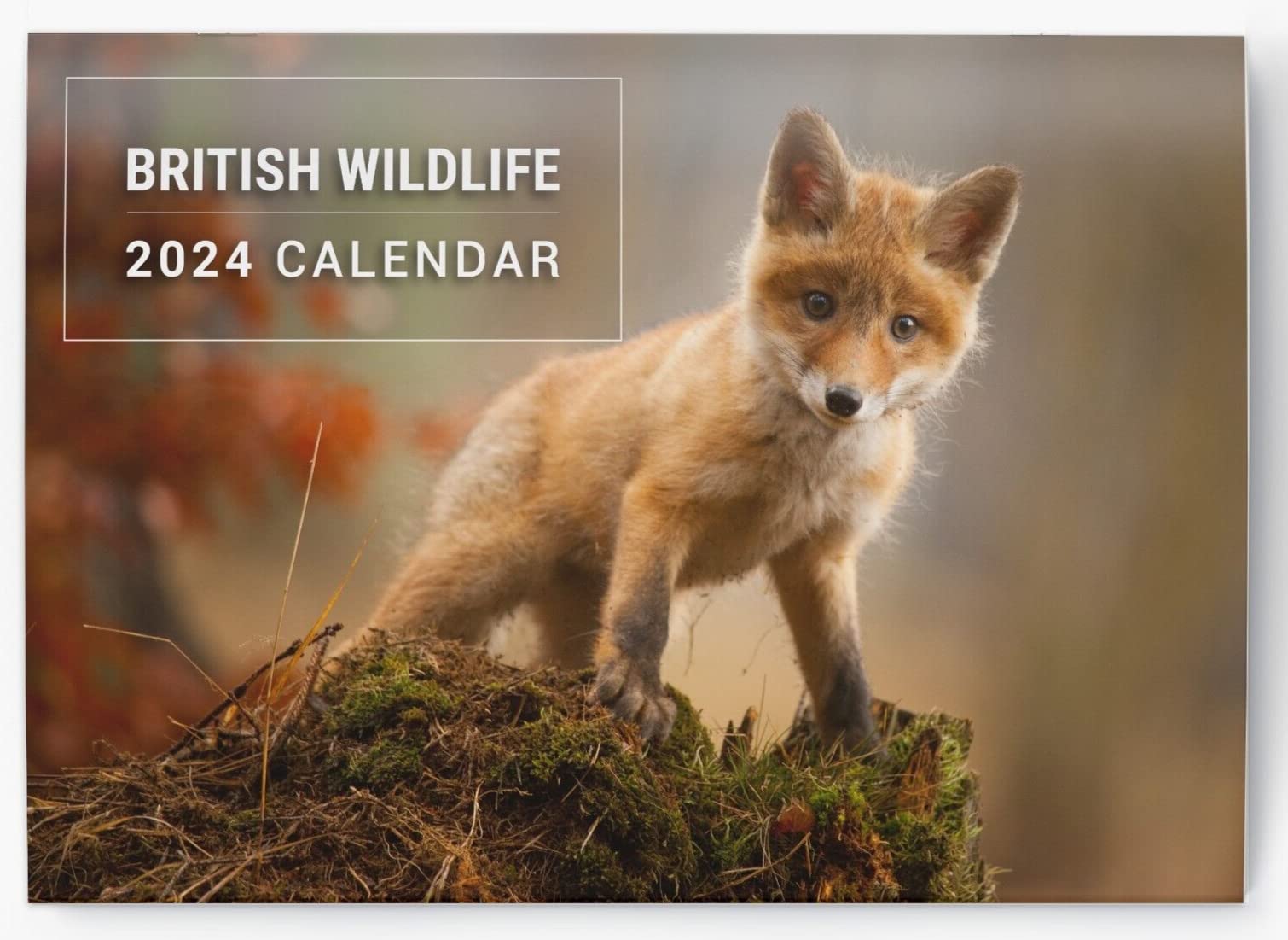 2024 Wall Calendar British Wildlife Monthly Planner Family Home Organiser