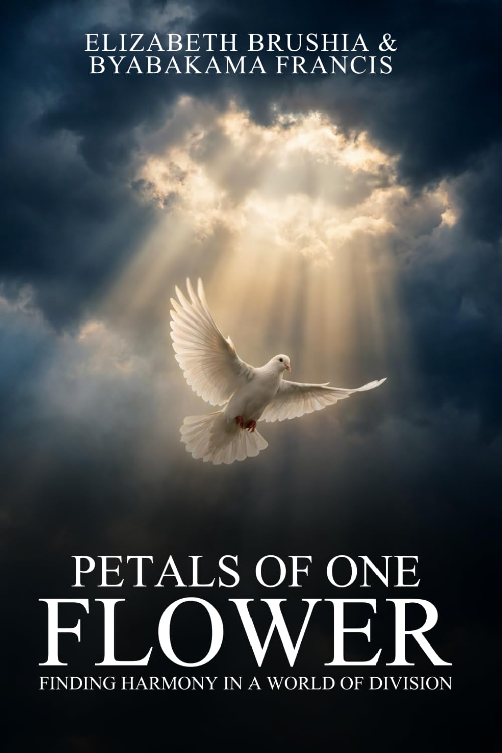 Petals of One Flower: Finding Harmony in a World of Division (My Perfect Storm)