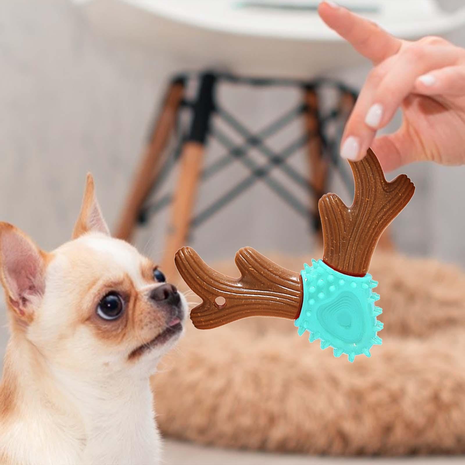 6X Juguete de para Perros, Juguetes Impermeables para Perros Pequeños, Medianos Y, Cachorros, Juguete Interactivo para Perros, Juguete
