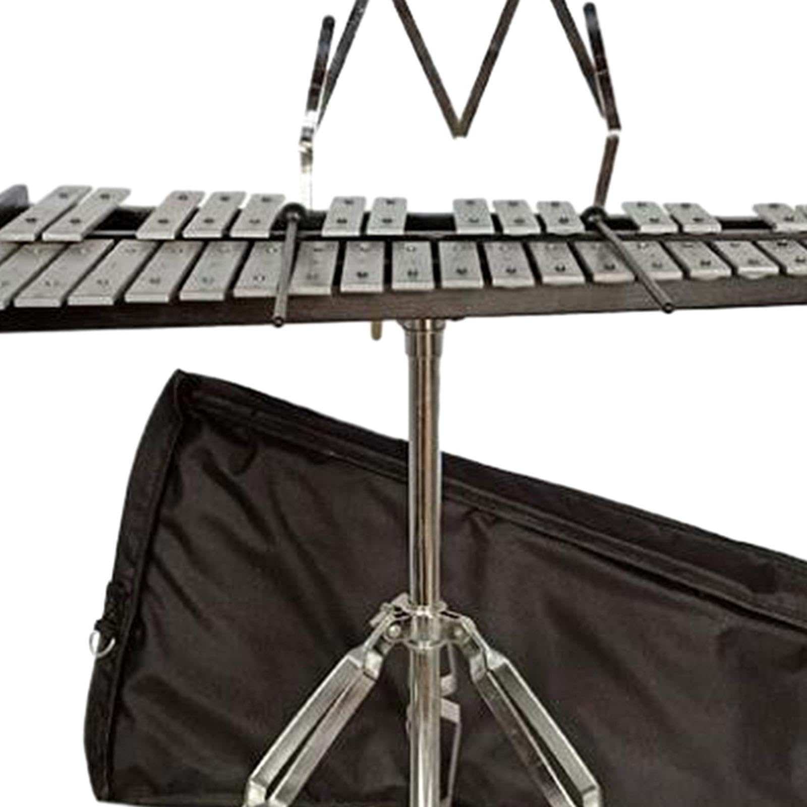 Xilofono a percussione con custodia morbida, strumento musicale professionale per l'insegnamento, per musicisti in crescita, adulti o bambini che