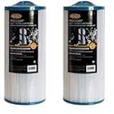 Jacuzzi 6000-383AJ Filter, 60 Sq Ft, J-300 Series 2002+ -ProClear II Compatibility for Clear, Pristine Hot Tub Waters & Equipment, Quality Filtration - 2 Pack
