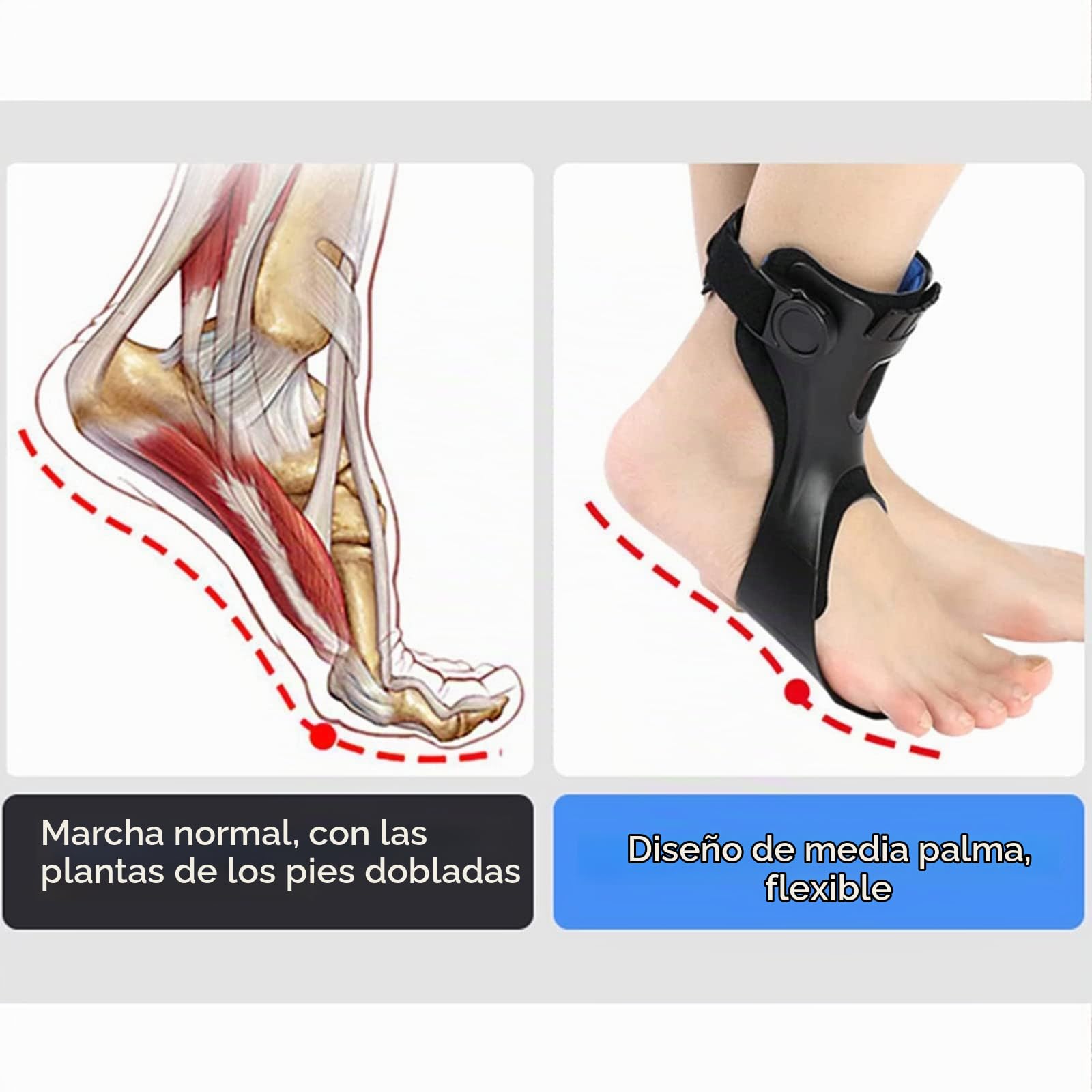 Férula De Soporte para Pie Caído, Soporte De Órtesis De Pie De Tobillo, Corrector De Apoyo De Pie para Entrenamiento De Rehabilitación De Lesiones Nerviosas De Pie Caído Right,Large