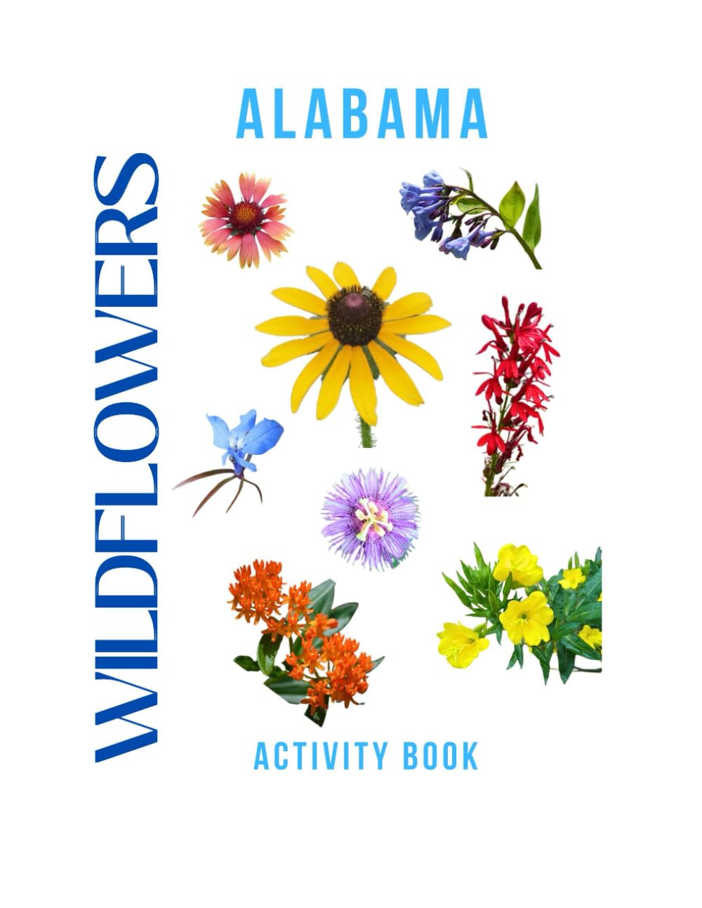 Wildflowers of Alabama Activity Book: A Young Explorer's Field Guide to the Native Blooms of Alabama (Alabama Nature Explorer Series)
