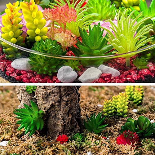 Housenior 24 Pack Mini Artificial Succulent Plants Unpotted : Fake Succulents Picks Realistic Plastic Cactus Stems For Terrarium Bulk Small Faux Assorted Arrangements Flocked Greenery #TOP5