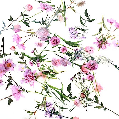 40 Wasserdichte, transparente Aufkleber für Blumenpflanzen, Dekoration, Scrapbooking, Handy, Wand, Buch, Möbel, Gepäck, Album – Blume