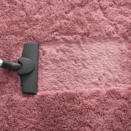 Image of F & B Rugs Firoz and Brothers Carpet for Living Room 7x10 feet