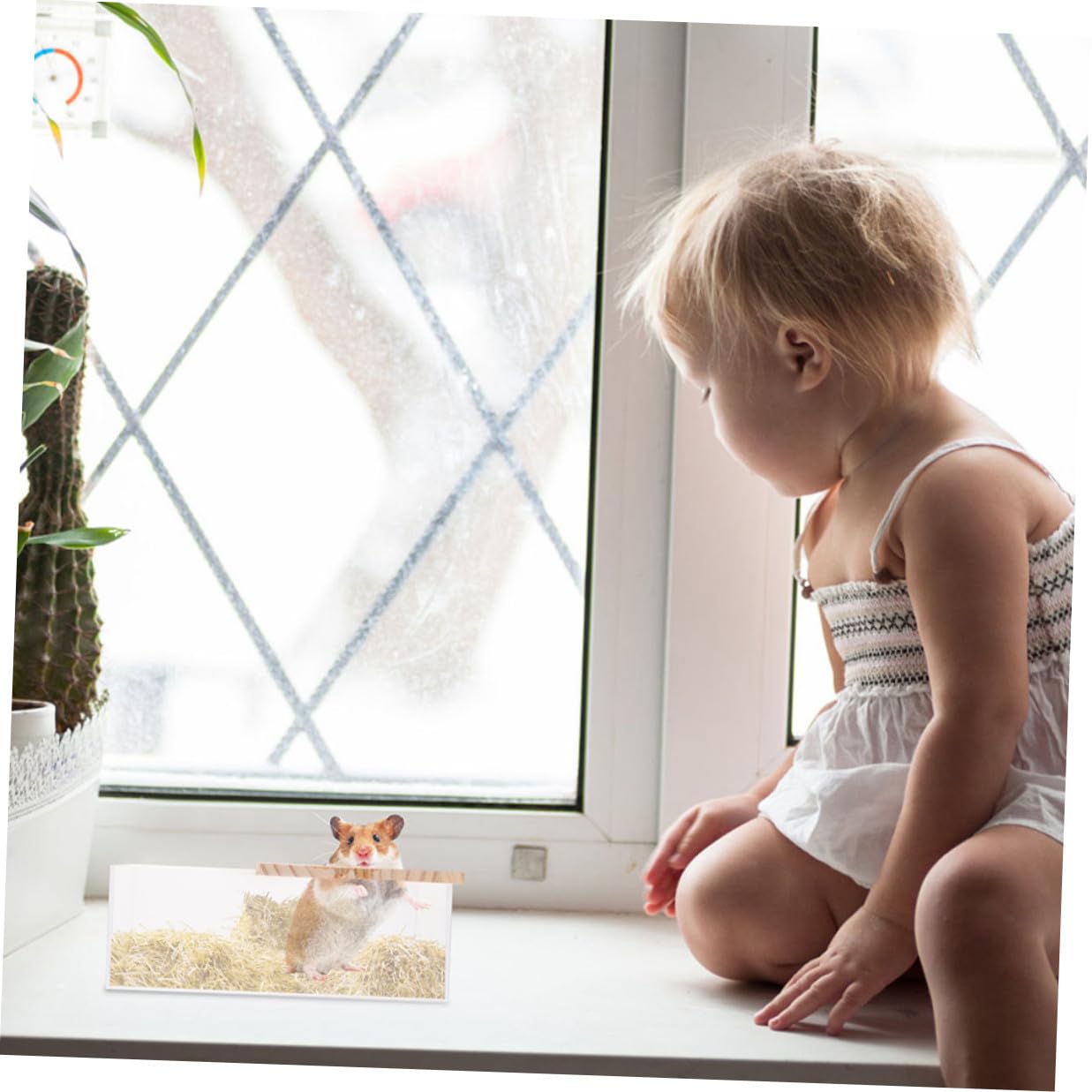 NUOBESTY 2 Stück Acryl Hamster Badewanne für Kleintiere Transparent und Verschleißfest für Baden und Spielen im Zuhause oder Haustiergeschäft