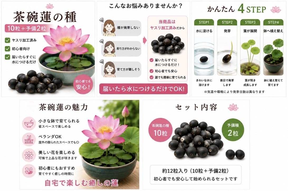 Amazon.co.jp: 茶碗蓮の種 10粒＋予備2粒 ミニハス ハスの種 ミックス