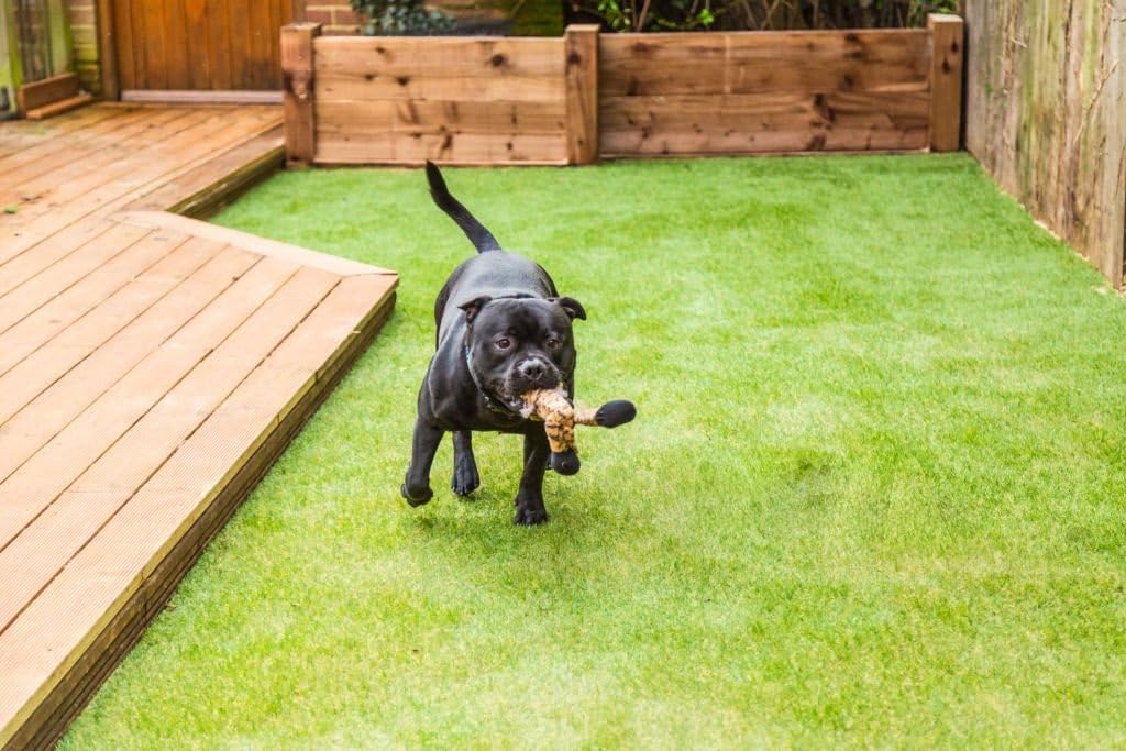 Artificial Grass Turf Roll - UV Protected Outdoor Carpet -4