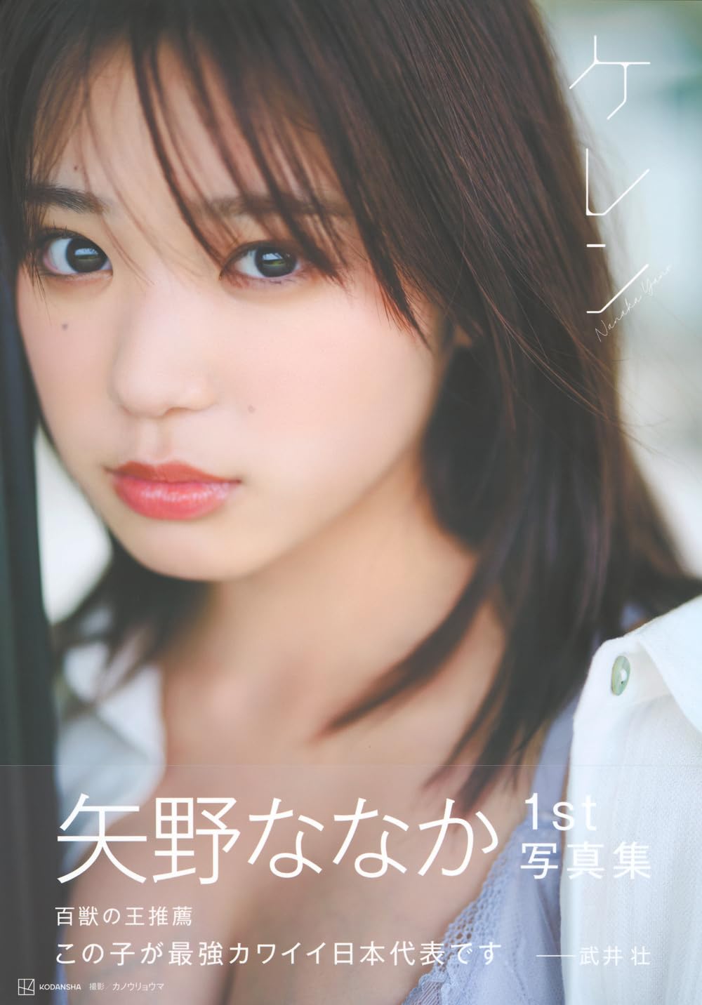 Amazon.co.jp: 矢野ななか: 本、バイオグラフィー、最新アップデート