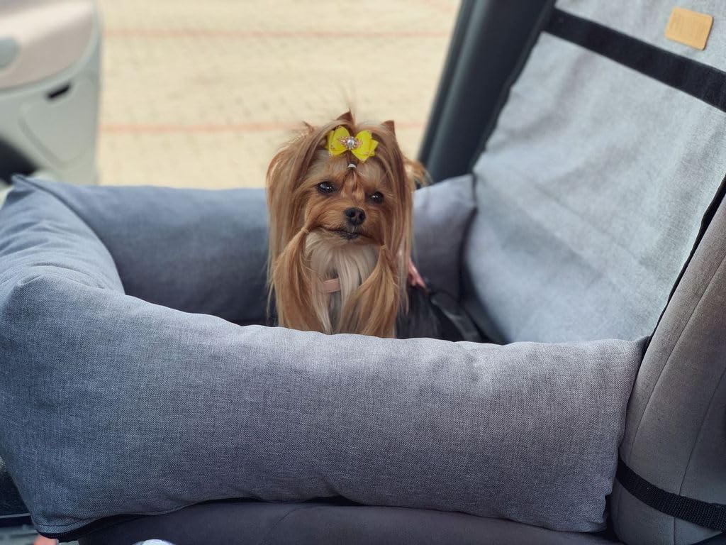 Hundeautositz klein personalisiert, Hundesitz Auto mit Leine für Rückbank, 2in1 Hundebett Auto und Transporter für kleine Hunde und Katzen