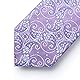 HISDERN Herren Krawatte Lila Paisley Floral Hochzeitskrawatten Business Krawatte Einstecktuch & Einstecktuch Set