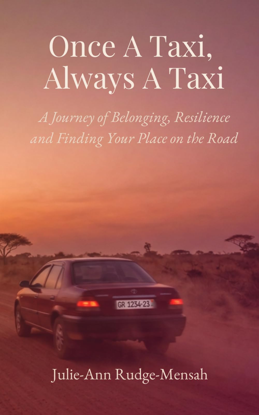 Once A Taxi, Always A Taxi: A journey of belonging, resilience, and finding your place on the road