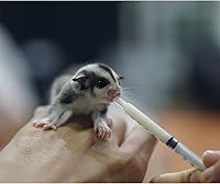 Vista 6 de Exotic Nutrition Sustituto de leche especial de 8.8 onzas – Fórmula saludable en polvo – Ideal para ardilla, conejo, zarigüeya, mapache