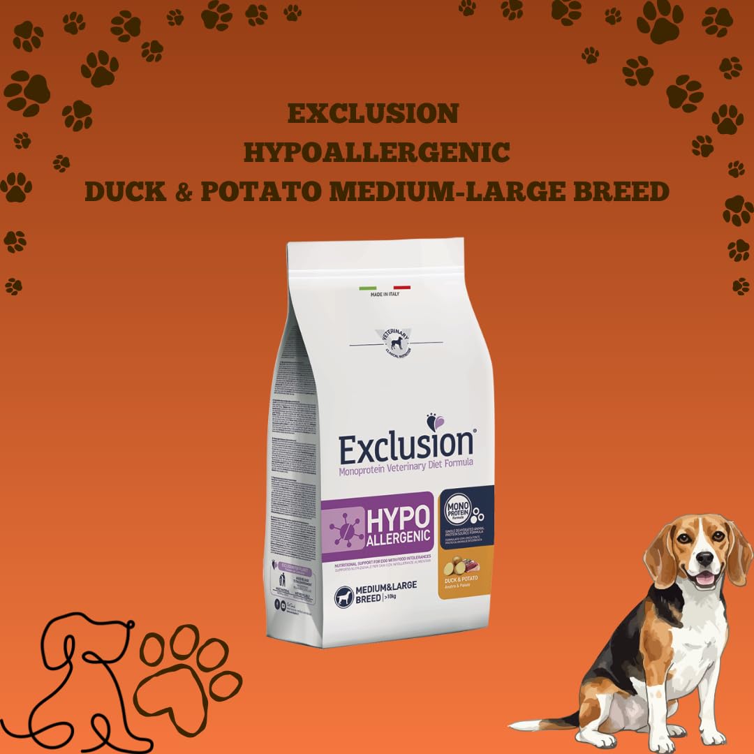 EXCLUSION Adult Medium&Large Breeds Hypoallergenic Cane gusto Anatra e Patate | alimento completo per cani adulti di taglia medio-grande con intolleranze, ipoallergenico, 1 confezione da 12kg.