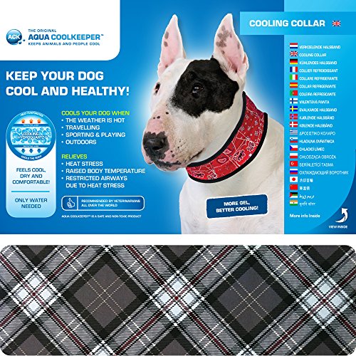 Aqua Coolkeeper Halsband Scottish Grey XL
