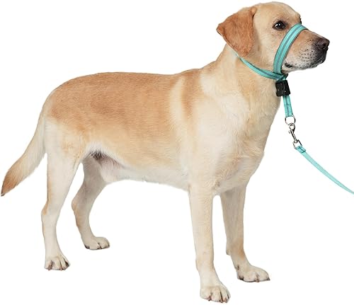 BARKLESS Collar de cabeza de perro, cuello halter reflectante para perros pequeños, medianos y grandes con acolchado suave, arnés de boca sin