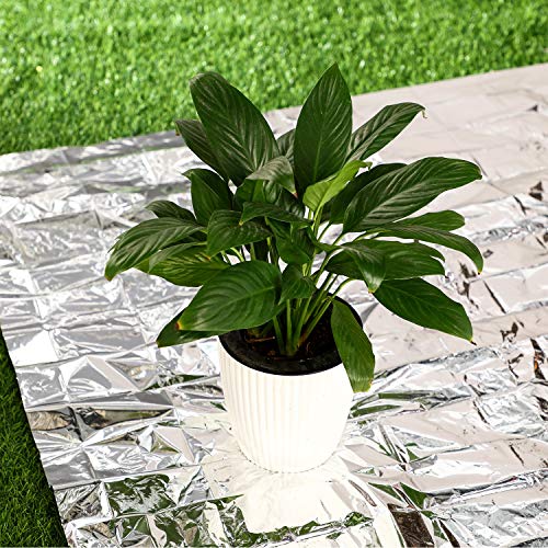Maitys-4-Pcs-Emergency-Blankets-High-Silver-Reflective-Foil-Sheet-Heat-Foil-Protection-Rescue-Blankets-Camping-Blanket-Hiking-Space-Blankets-and-Garden-Greenhouse-Covering-Plant-Growth-Sheet