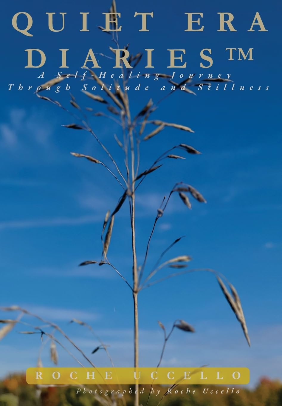 Quiet Era Diaries: A Self-Healing Journey Through Solitude and Stillness: 1