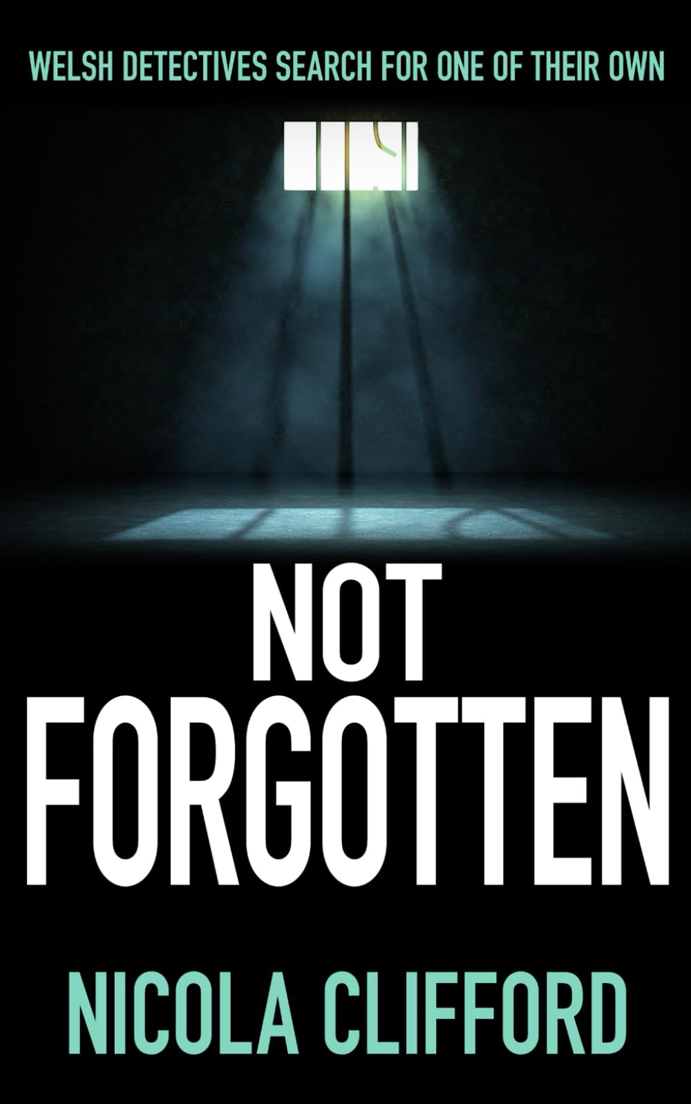 Not Forgotten: Welsh detectives search for one of their own (The Welsh crime mysteries)