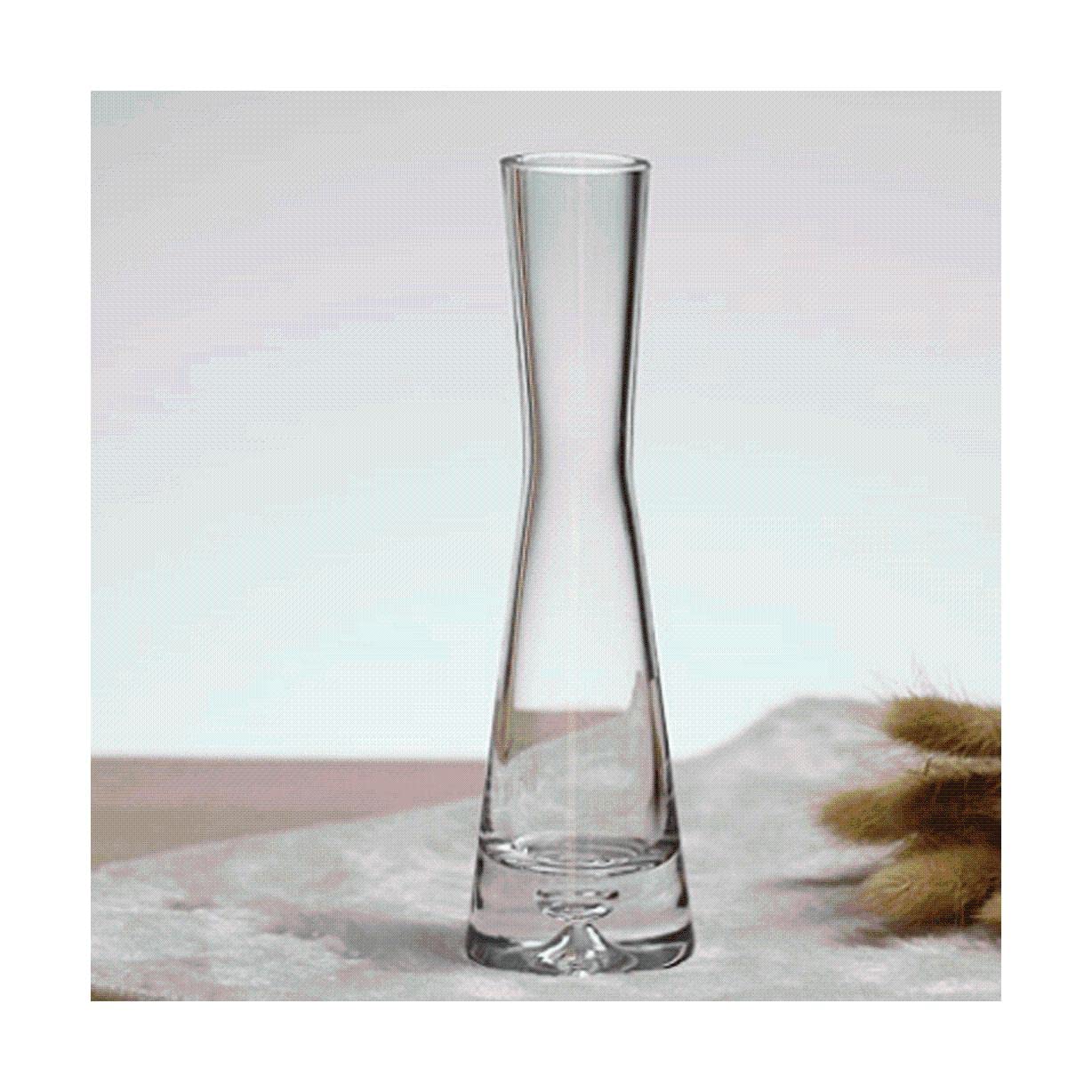 Ngdfgr As Known Fashion Adornment Vases,Glass Transparent Small Vase Hydroponic Slender Small Mouth Vase Device Countertop Flower Arrangement Decoration (Style),Style-A