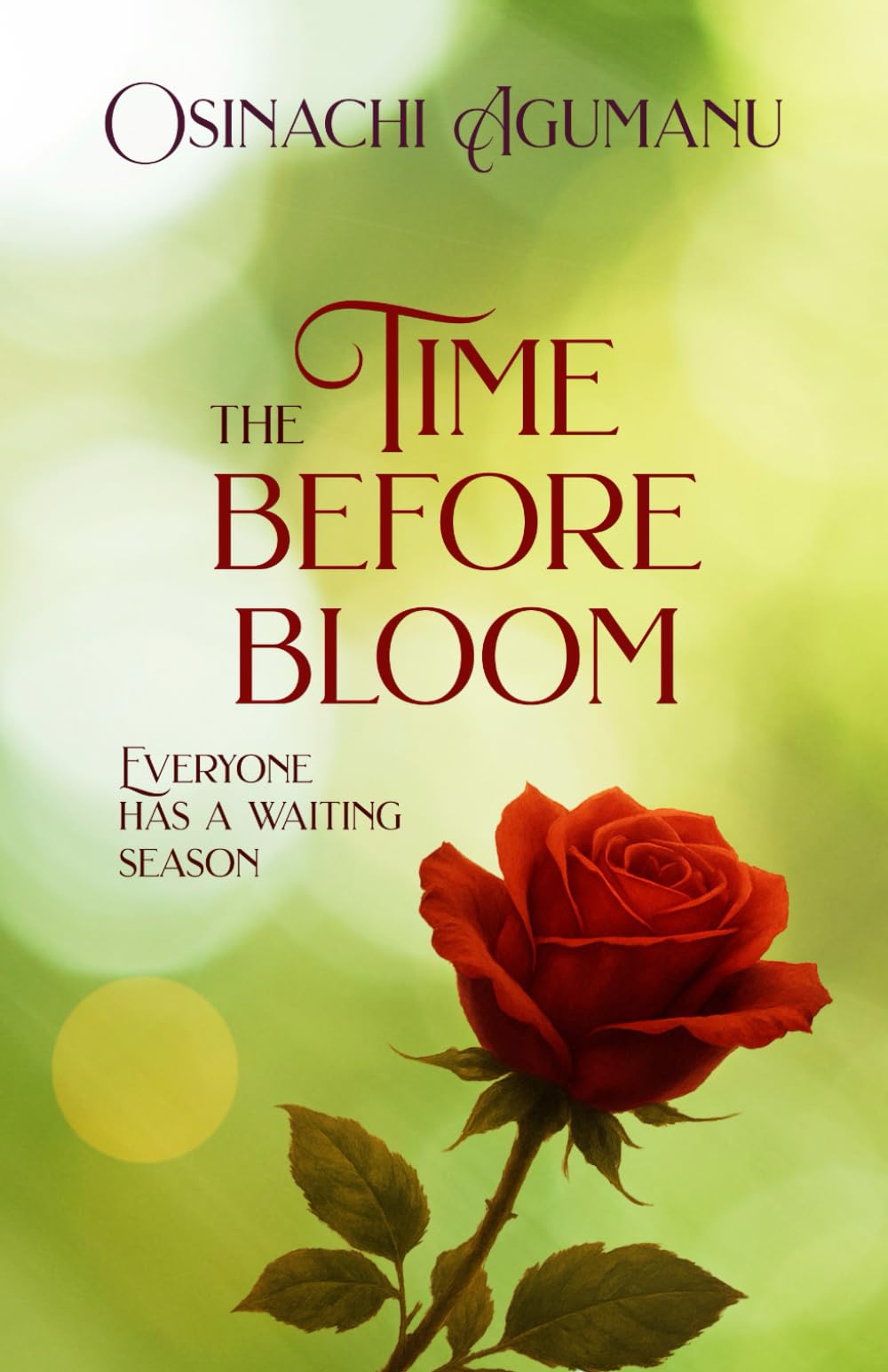 THE TIME BEFORE BLOOM: Everyone has a waiting season