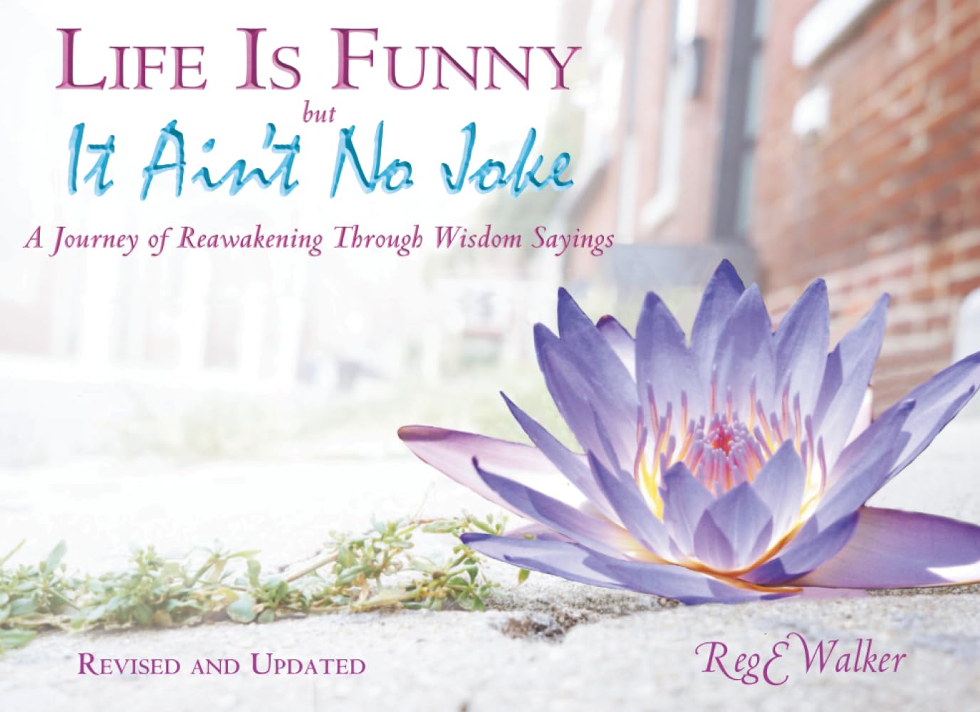 Life Is Funny but It Ain't No Joke: A Journey of Reawakening Through Wisdom Sayings
