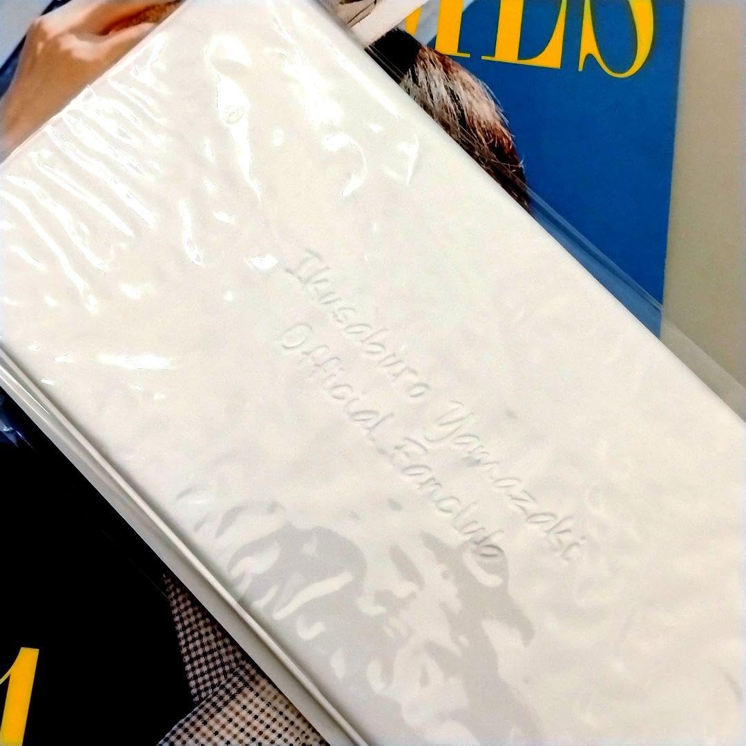 入手困難】GLAY ファンクラブ限定 チケットホルダー 入手困難】GLAY