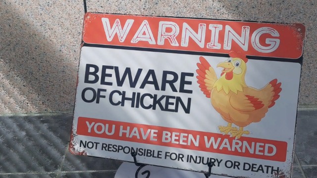 Cartello Metallico Divertente 'Beware Of Chicken' - 20x30 Cm, Effetto Arrugginito Vintage Per Giardino O Parete