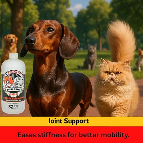 Miniatura 5 de Aceite de salmón de 32 onzas para perros y gatos, aceite de salmón atlántico 100% puro, aceite de pescado suplementario para abrigos saludables de