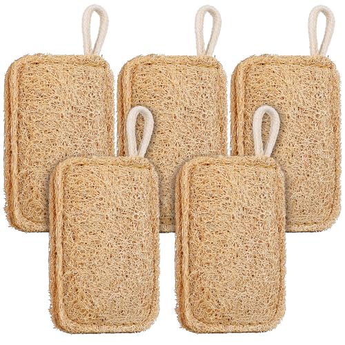 ELAYARD Juego de 5 Cepillos de Lufa Natural para Lavar Platos Ollas y Tazas Estropajo Ecológico Reutilizable Fibras Suaves y Resistentes Cepillo para Fregadero y Cocina