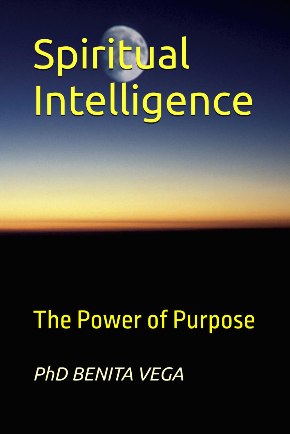 Spiritual Intelligence: The Power of Purpose