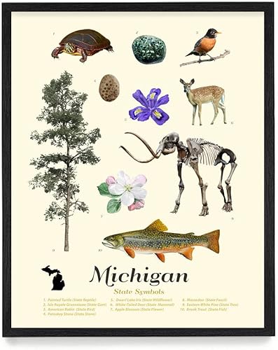 Wunderkammer Studio Michigan State Símbols - Póster de Michigan Wall Art - Decoración del hogar - Regalo de inauguración de la casa - 8 x 10 sin