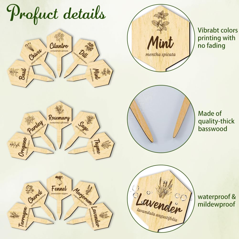 arricraft 15 Pz Legno Nome Pianta Etichette, 15 Stili Etichette Giardino con Nome Completo di Medicina Erboristica Marcatori di Legno per Piante Indoor ed Outdoor Erbe Seed Potting
